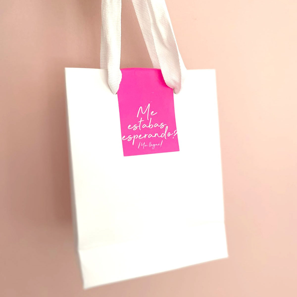 100 Cierra Bolsa Estándar Fucsia