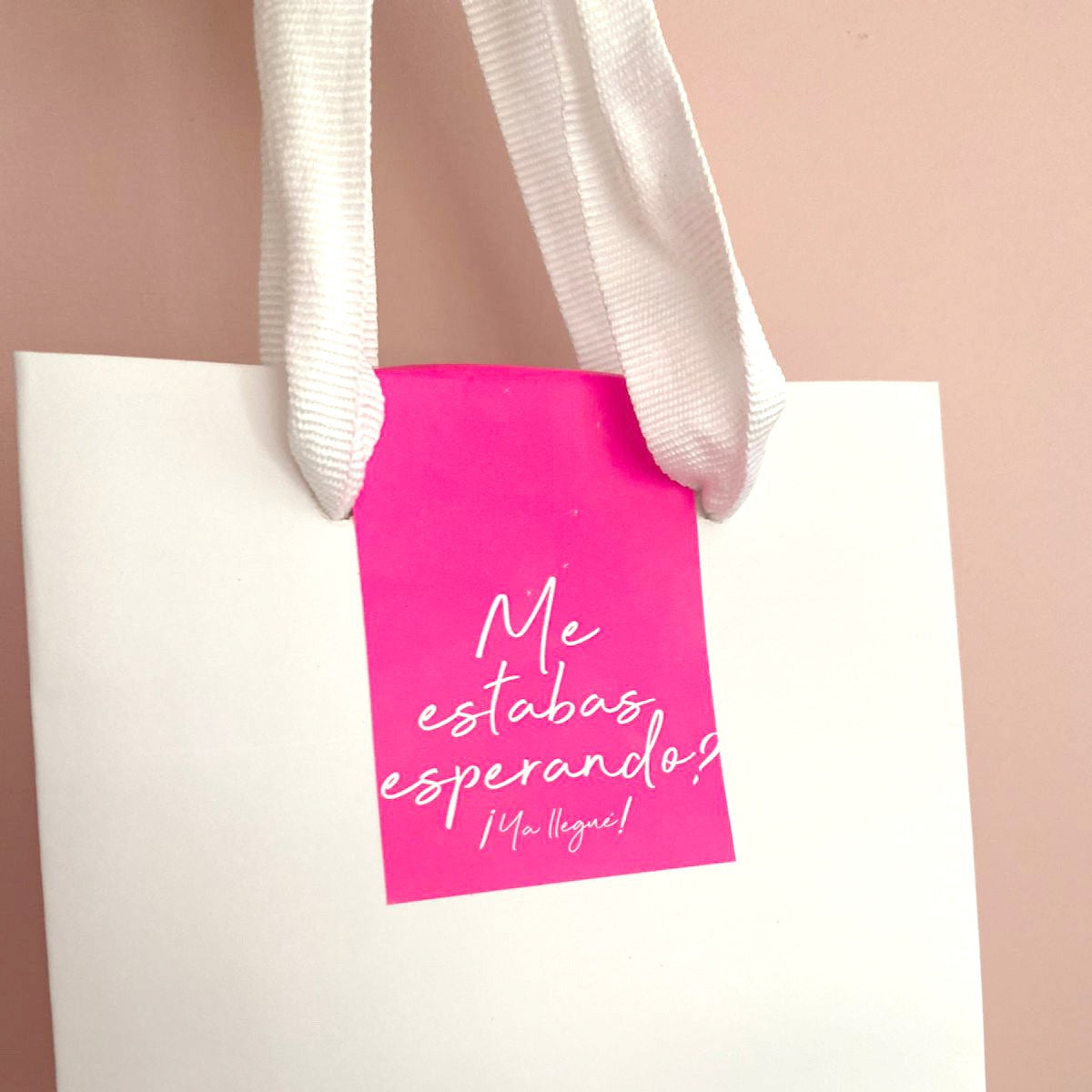 100 Cierra Bolsa Estándar Fucsia